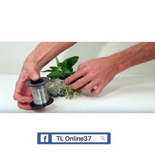 Cước Cột Rêu cây thuỷ sinh [ Siêu Nhỏ 0.2 ]