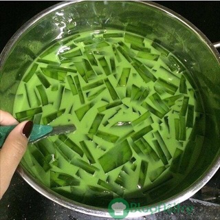 Nửa set trà thái xanh lớn (pha được 10 lít trà thái)