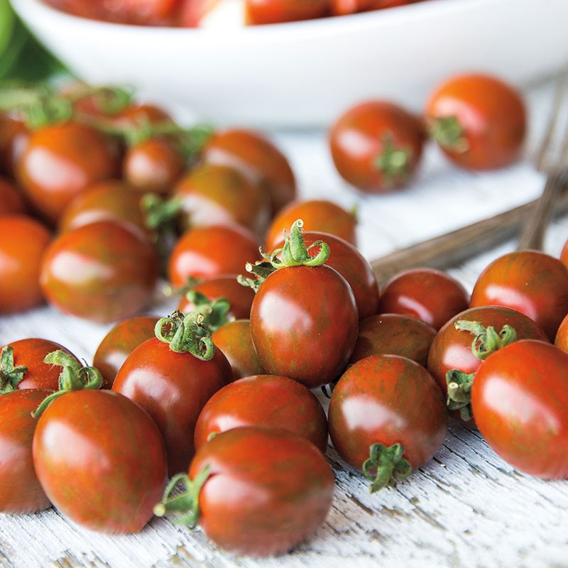 Gói 30 hạt giống cà chua socola  KHUYẾN MẠI SHOP MỚI HẠ GIÁ SỈ
