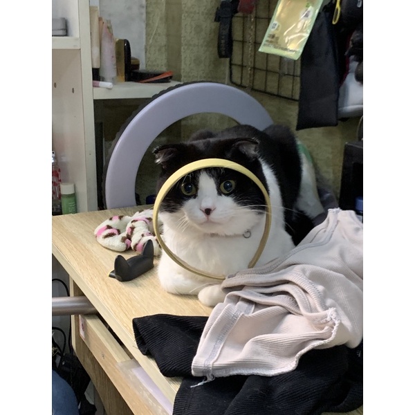 SP khách chốt Live