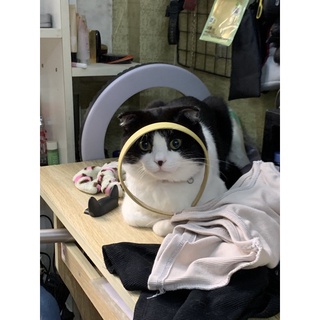 SP khách chốt Live