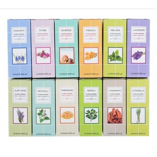 Combo 2 Chai Tinh Dầu Thiên Nhiên Xông Phòng Nguyên Chất Siêu Thơm Khách Được Tự Do Chọn Mùi