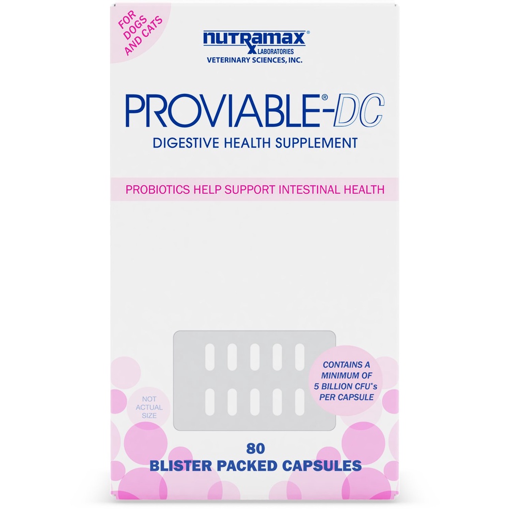 Men tiêu hoá cho chó mèo Nutramax Proviable
