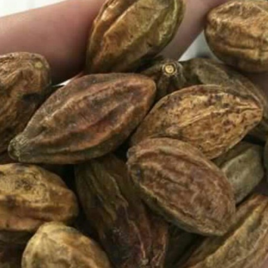 Kha tử khô thượng hạng JINDO 1kg