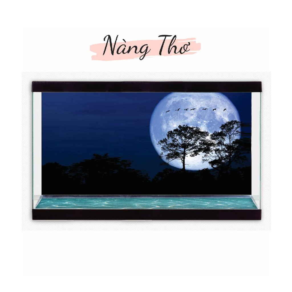 TRANH MẶT TRĂNG 3D DÁN HỒ CÁ NEW MOON_NÀNG THƠ