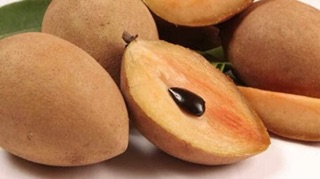 Cây hồng xiêm xoài