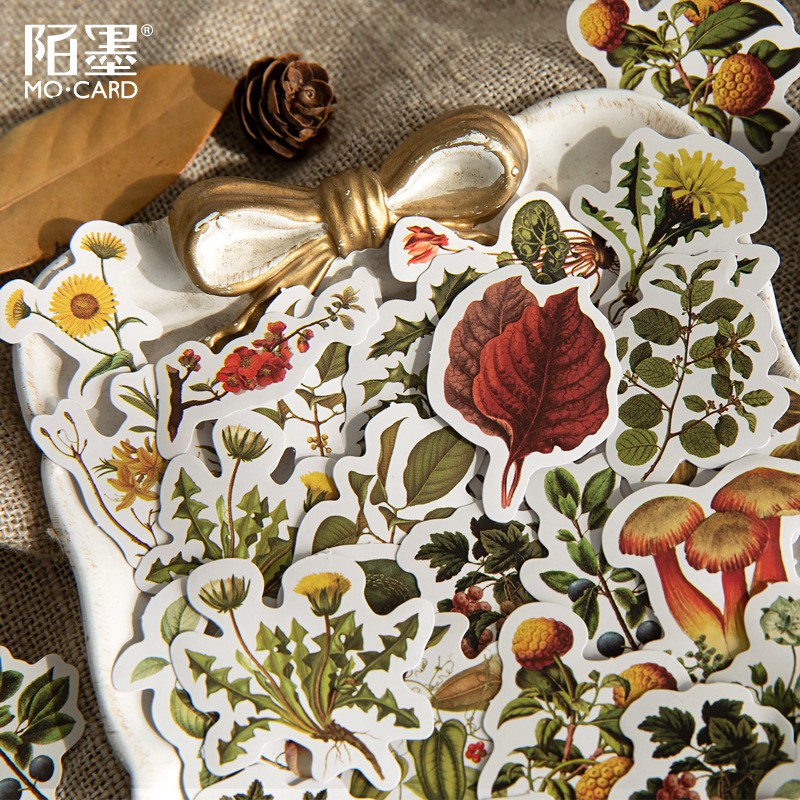 Bộ sticker/ Hình dán Hình Cỏ & Nấm Siêu Xinh