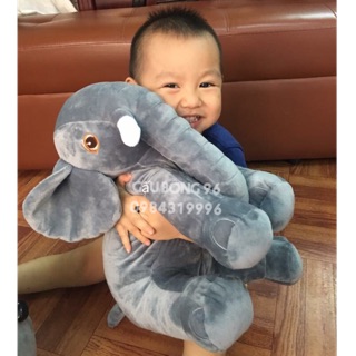 - voi nhồi bông