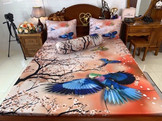 Drap thun lạnh Ý 5 D