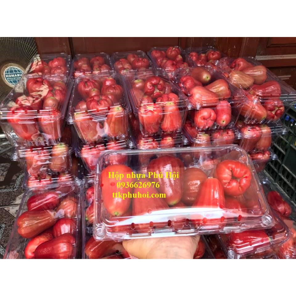 330 Hộp nhựa đựng trái cây 1kg P1000A giá 2550d