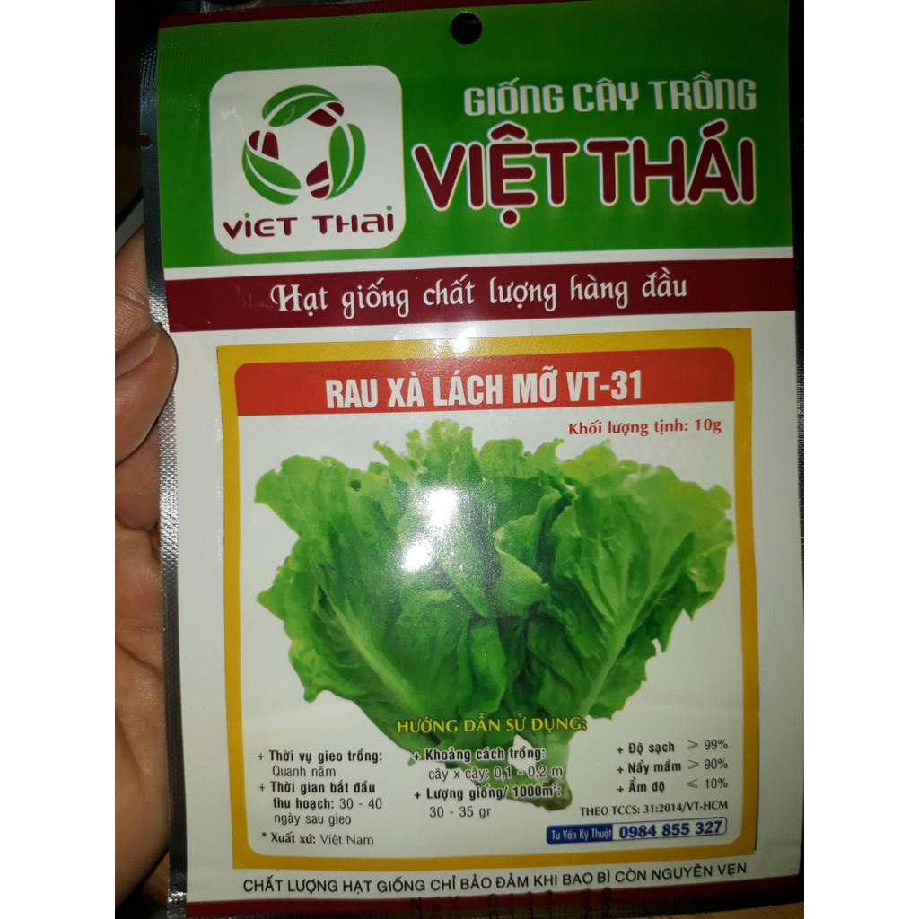 [Seeds] Hạt giống Xà Lách Mỡ, đóng gói 5gr, dễ trồng, năng suất cao