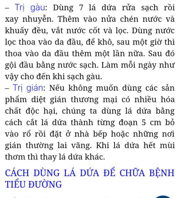 Trà lá dứa (lá nếp thơm) sấy lạnh 100g