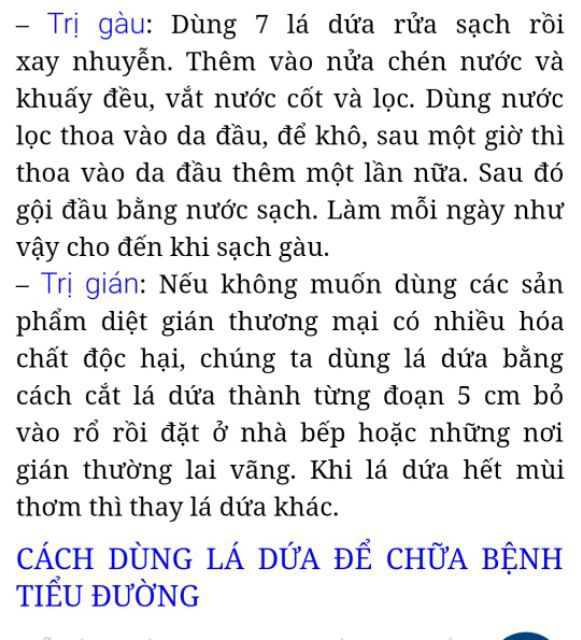 Trà lá dứa (lá nếp thơm) 100g