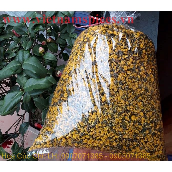 Hoa Cúc Chi Khô Cao Cấp 100gram