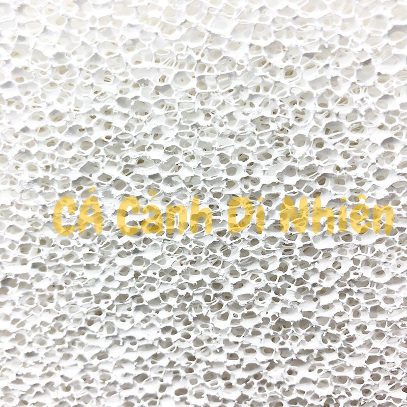 Sứ lọc cốm vuông BACTERIA HOUSE Culture lọc nước hồ cá JM AQUA 10x10x5cm