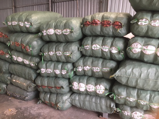 (rẻ vô địch) Khoen ore may rèm cửa /màn cửa