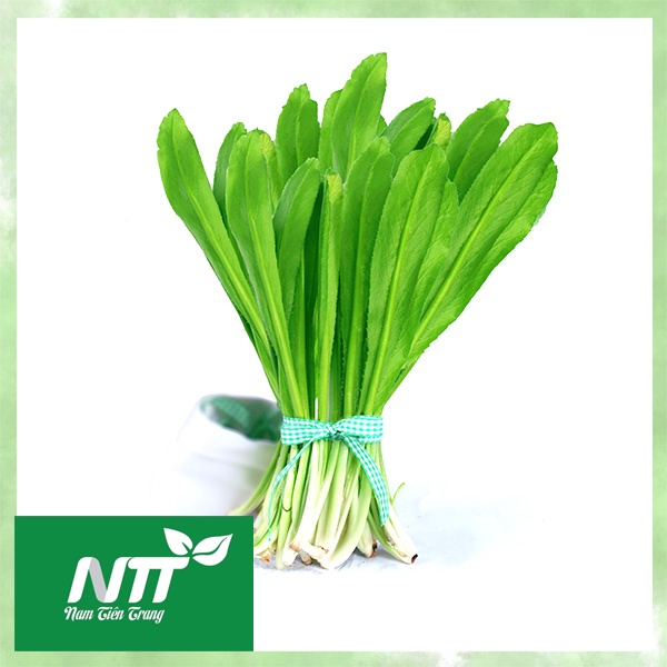 Hạt giống rau Ngò Gai TN - 45