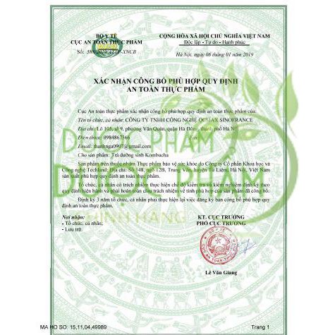 Trà Dưỡng Sinh KOMBUCHA - Hộp Trà Kombucha gói - Hỗ trợ tiêu hóa (1 Hộp 30 Túi)