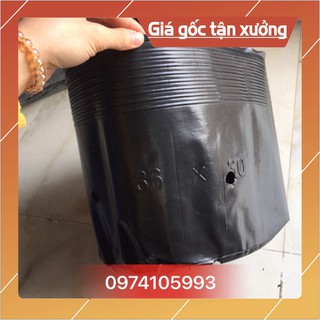 💝♥️ Bầu ươm trồng cây giông, BU 30*36(22 cái/kg) 💖💘