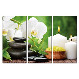 BỘ 3 TRANH SPA 2 (40*60*3)