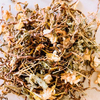 Trà Sơn Mật Hồng Sâm 1kg - Trà thảo mộc DaysTea