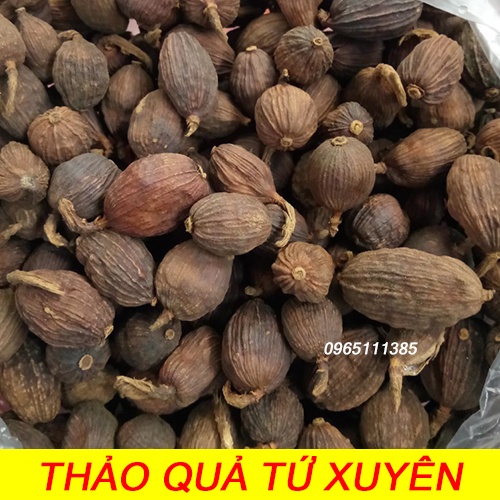 Thảo Quả Tứ Xuyên 100g