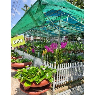 Lưới che nắng thái lan, lưới lan tốt khổ 4m giá mét dài