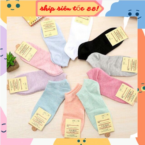 Tất Vớ Nữ Cotton Trơn Cổ Ngắn Hàn Quốc - Tất Vớ Cổ Thấp Thấm Hút Mồ Hôi 88157 SHOP SHIP SIÊU TỐC