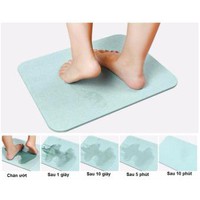 Thảm cứng siêu thấm Diatomite/thảm cứng siêu thấm nhật bản 60 x 40 x 0 9 cm ( màu ngẫu nhiên)