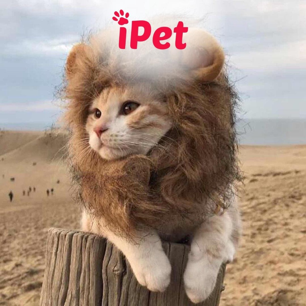 Nón Cho Chó Mèo Cosplay, Mũ Thú Cưng Dễ Thương - iPet Shop