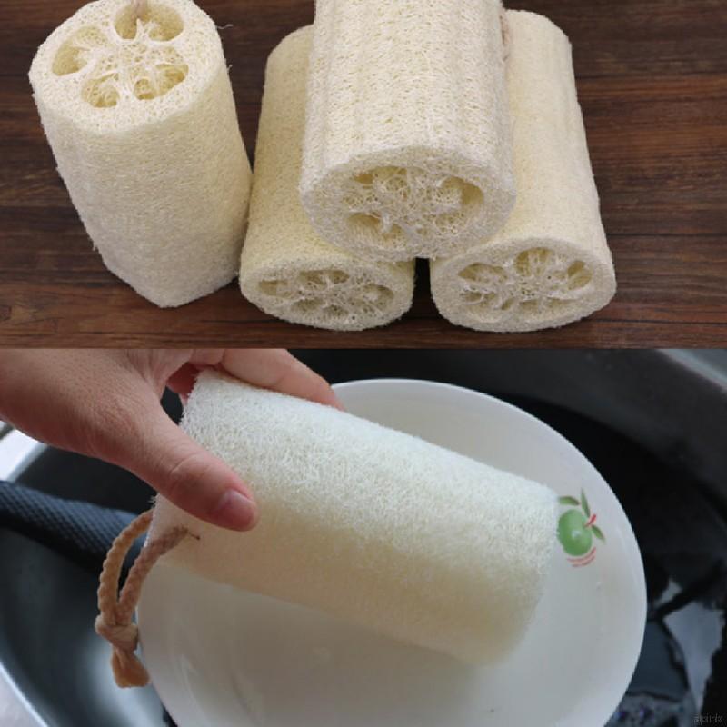 Xơ mướp tự nhiên 100% kì cọ cơ thể theo phong cách Ai Cập