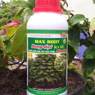 MAX ROOT ( phân bón lá chuyên cho mai vàng)