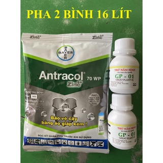 trừ bệnh thán thư - sương mai - đóm lá - antracol 70WP và 2 Lọ Gp01