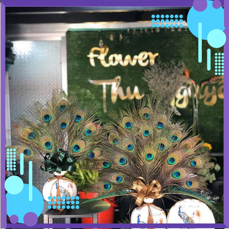 LÔNG CÔNG PHONG THỦY 🌿 FREESHIP 🌿 GIẢM CHỈ CÒN 5K/ CÀNH LÔNG CÔNG 100% TỰ NHIÊN (LÔNG CÔNG ĐẸP) | BigBuy360 - bigbuy360.vn