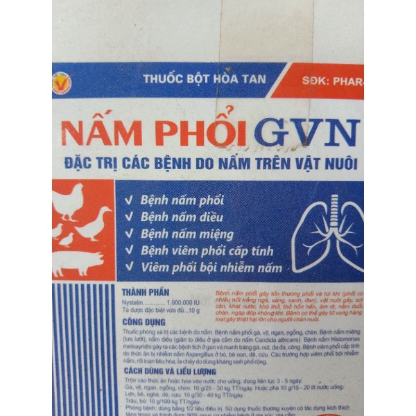Nấm diều phôi, miệng hầu ho vươn cổ thơ, ho chữa mãi không khỏi, có đốm trắng vàng đen xám ở miệng, phôi gà đá chim