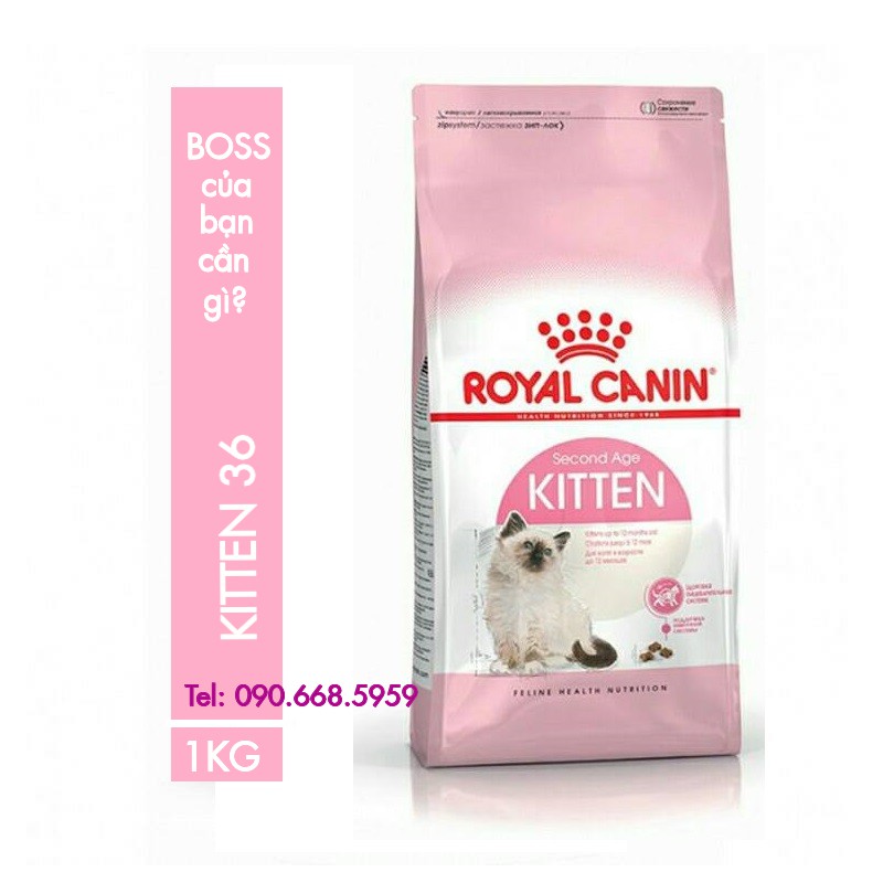 (Mua thêm) 100gr thức ăn hạt Royal Canin Kitten 36 (Túi hạt lấy từ bao 10kg)