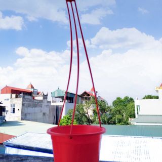 [10 cái] Chậu treo tròn trồng hoa, cây cảnh kèm dây treo hàng loại 1.
