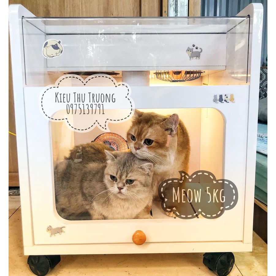 Lồng sấy mèo tự động ,Máy sấy mèo, Lồng sấy chó