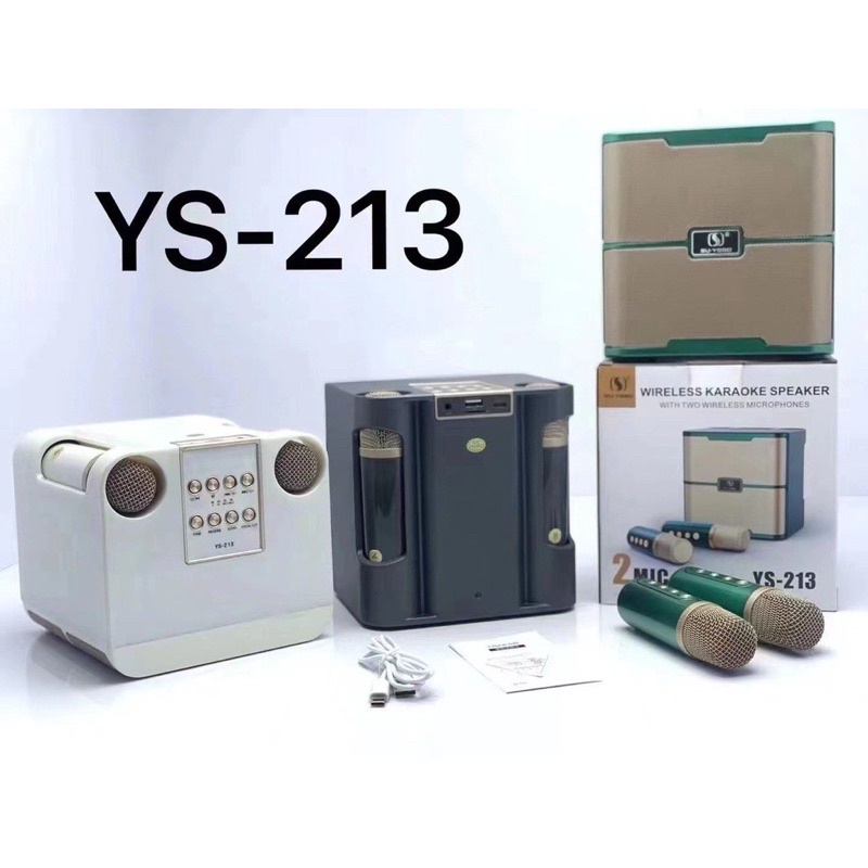 Loa Karaoke YS 213 Kèm 2 Mic Ko Dây Chính Hãng