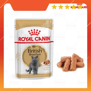 ROYAL CANIN BRITISH SHORTHAIR pate cho Mèo Anh lông ngắn