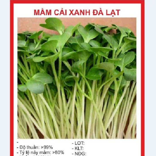 Mầm cải xanh Đà Lạt (50gr)