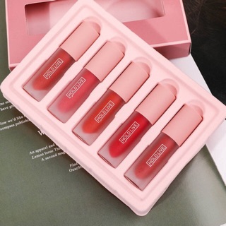 Set 5 cây son kem lì Hold Live Secret City mới chính hãng