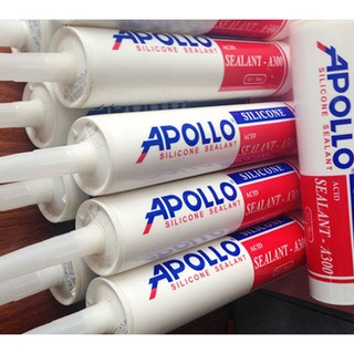 SILICON APOLLO
