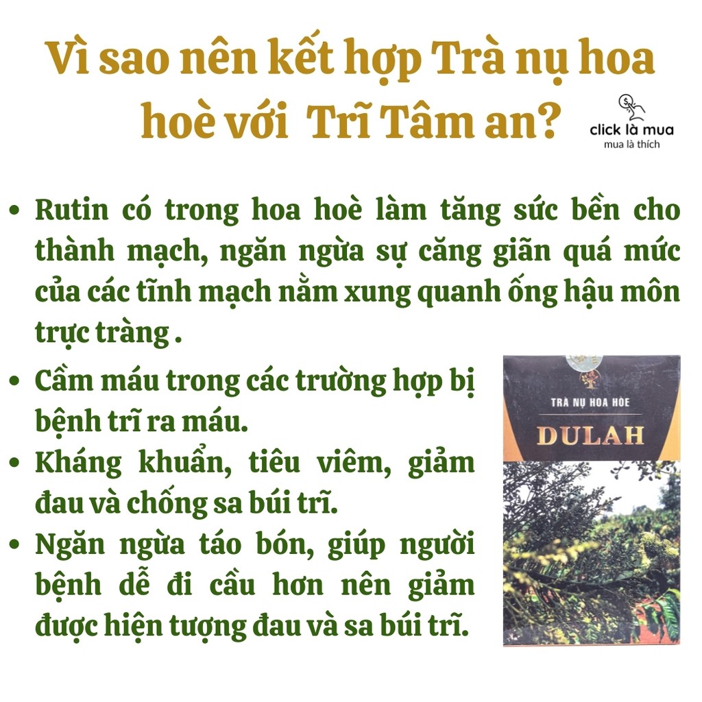 Co búi Trĩ tâm an nhuận tràng giảm táo bón – hỗ trợ người bệnh trĩ nội trĩ ngoại 60 viên