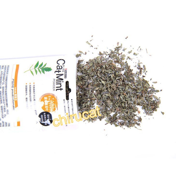 Cỏ Bạc Hà Mèo Catnip Phê Mất Xác Boss