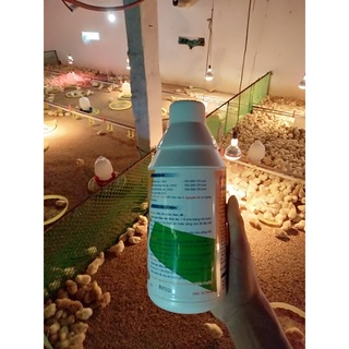 TKS-SIÊU TĂNG TỐC VỖ BÉO