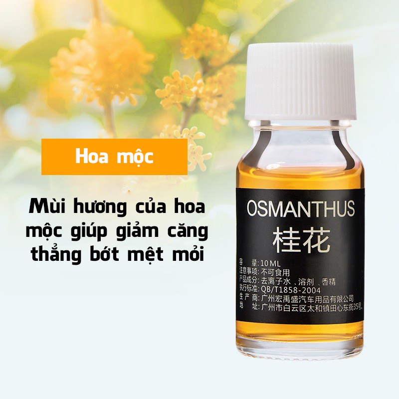 Tinh dầu nước hoa xe hơi lọ 10ml