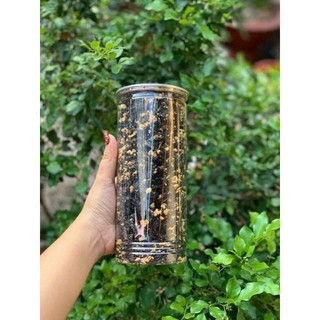 Rong biển cháy tỏi