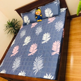 Ga chun cotton Hàn quốc trần bông