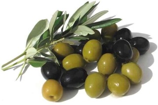 OLIU LAMASIA 3KG
